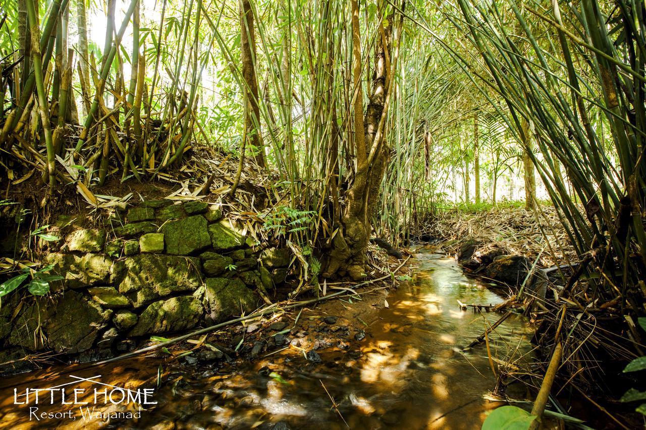 Little Home Resort Vythiri Ngoại thất bức ảnh